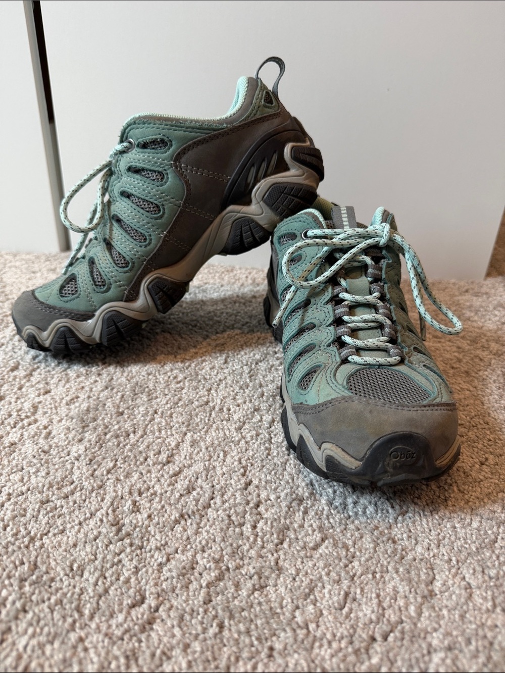 Oboz Sawtooth II hiking shoe